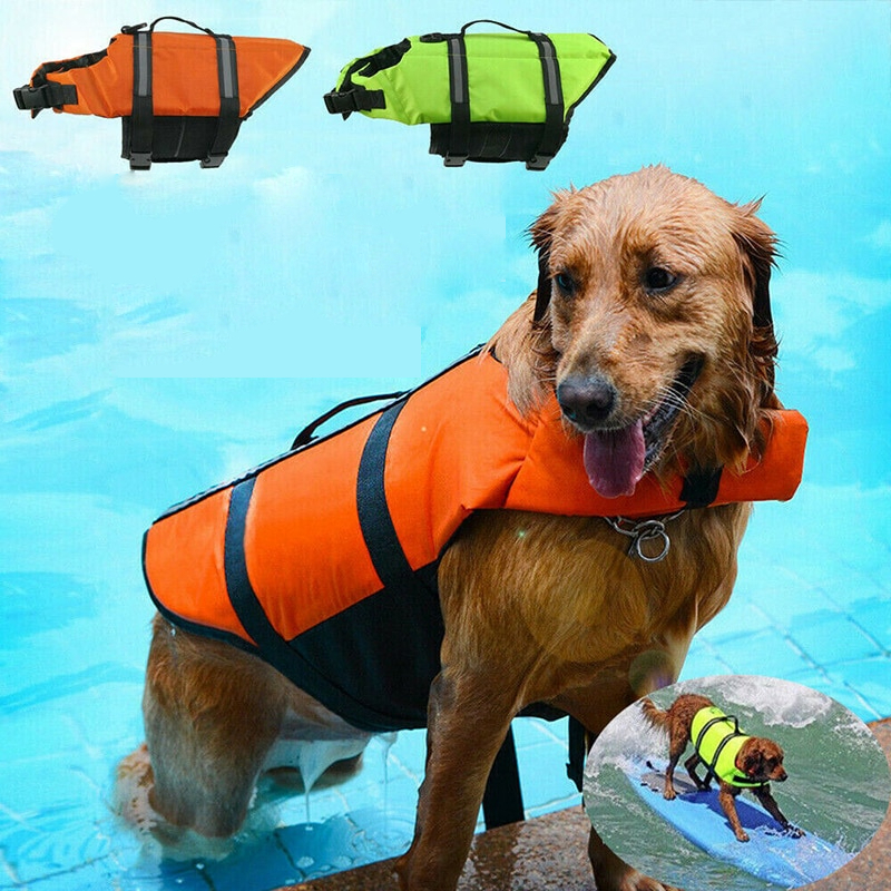 CAN YELEĞİ KOLONLARI